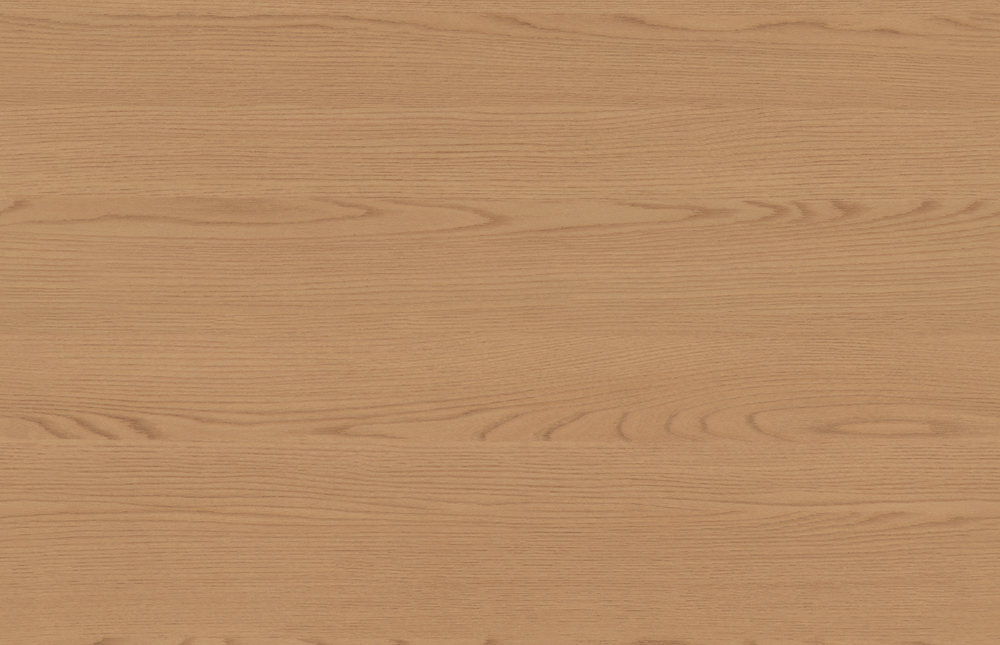 S-T1004 北美红橡