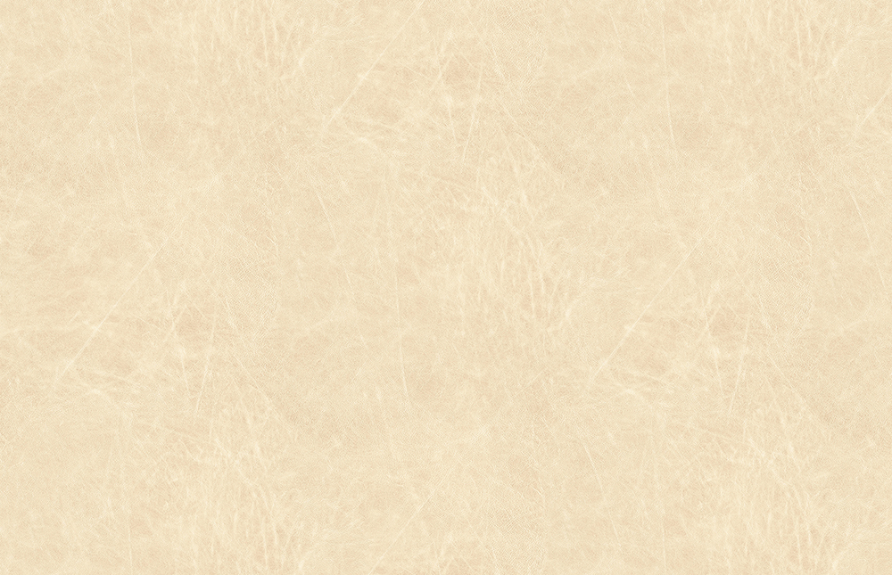 S-H7102 香奈儿米